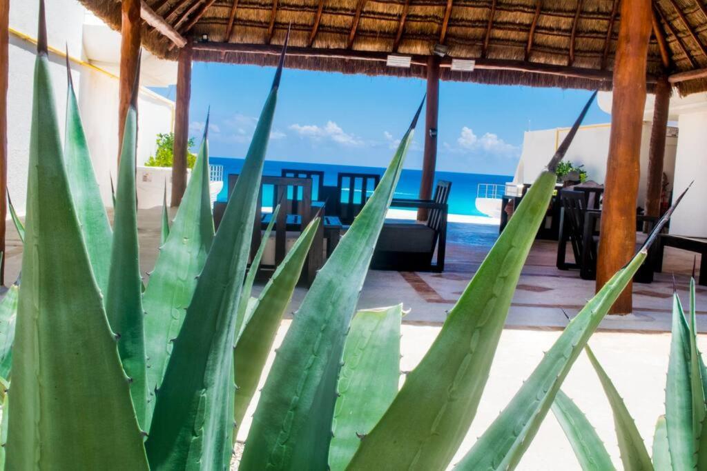 Ocean View Apartment, Best Beach Area, 3 Bedrooms Cancún Eksteriør billede