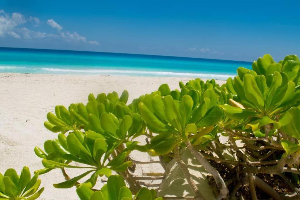 Ocean View Apartment, Best Beach Area, 3 Bedrooms Cancún Eksteriør billede